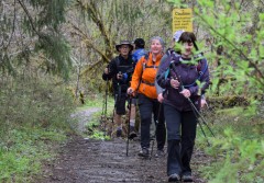 Coastal Bliss Adventures  Cowichan Bay