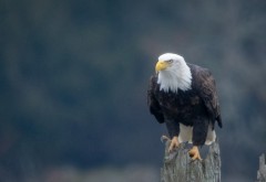 Coastal Bliss Adventures  Cowichan Bay